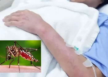 El dengue sigue en aumento en las últimas semanas se registran 800 casos en el país