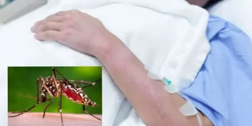 El dengue sigue en aumento en las últimas semanas se registran 800 casos en el país