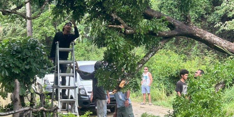 ¡Unidos somos más fuertes!