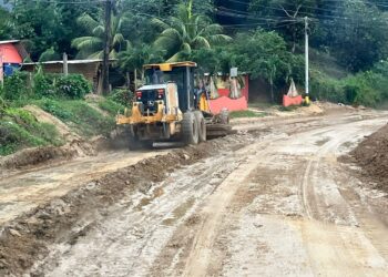 Alcaldia trabaja en la limpieza de carreteras