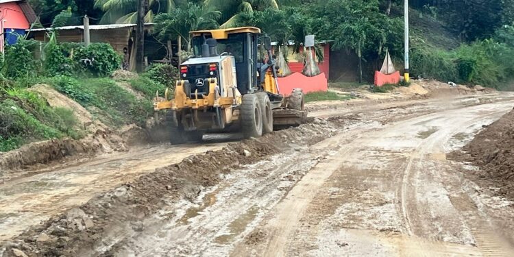 Alcaldia trabaja en la limpieza de carreteras