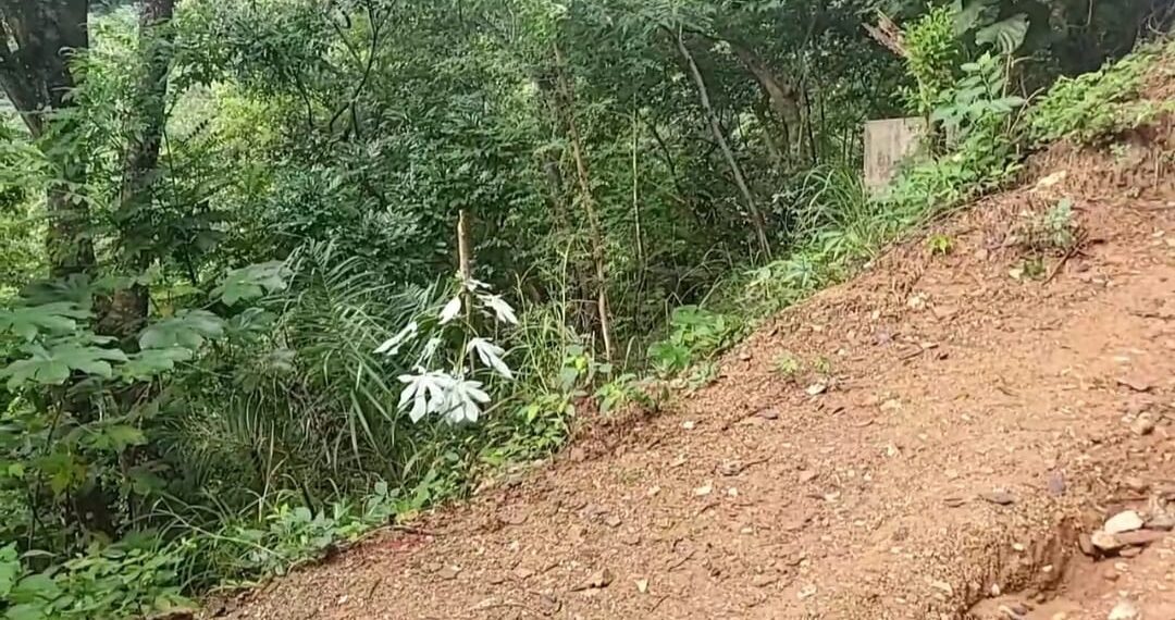 Joven toma fatal decision y se quita la vida.