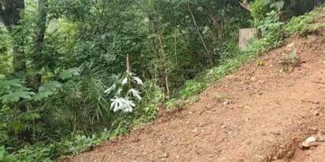 Joven toma fatal decision y se quita la vida.
