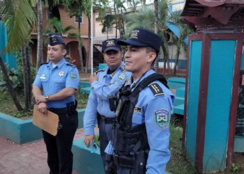 21 mil Efectivos Cuidar la poblacion en las fiestas de Navidad y Año Nuevo.