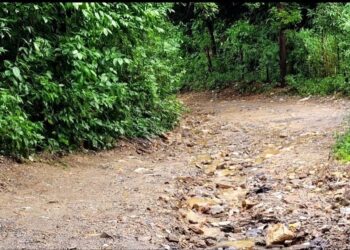 2025 un Reto para la alcaldia de Roatan Calles secundarias.