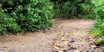 2025 un Reto para la alcaldia de Roatan Calles secundarias.