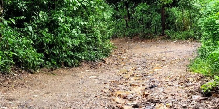 2025 un Reto para la alcaldia de Roatan Calles secundarias.