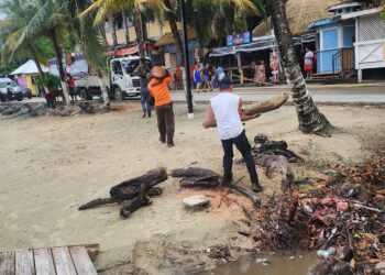 Hoy se llevaron a cabo dos importantes jornadas de limpieza