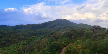 NORMATIVA DE USO DEL PARQUE NACIONAL PORT ROYAL
