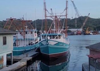 MUSICO PAGADO NO TOCA BUEN SONG Industria de la Pesca burlada por DIGEPESCA