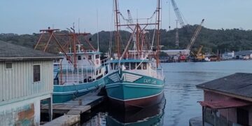 MUSICO PAGADO NO TOCA BUEN SONG Industria de la Pesca burlada por DIGEPESCA