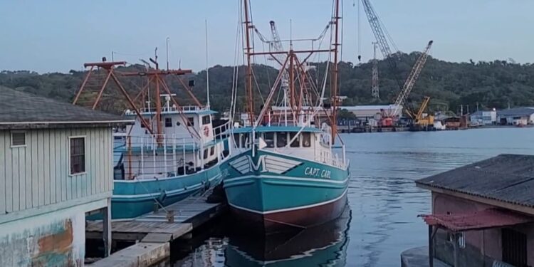MUSICO PAGADO NO TOCA BUEN SONG Industria de la Pesca burlada por DIGEPESCA