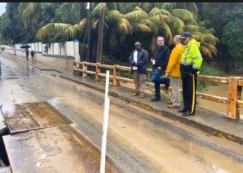 El puente ya no da mas,Ron Mcnab Alcalde