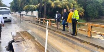 El puente ya no da mas,Ron Mcnab Alcalde